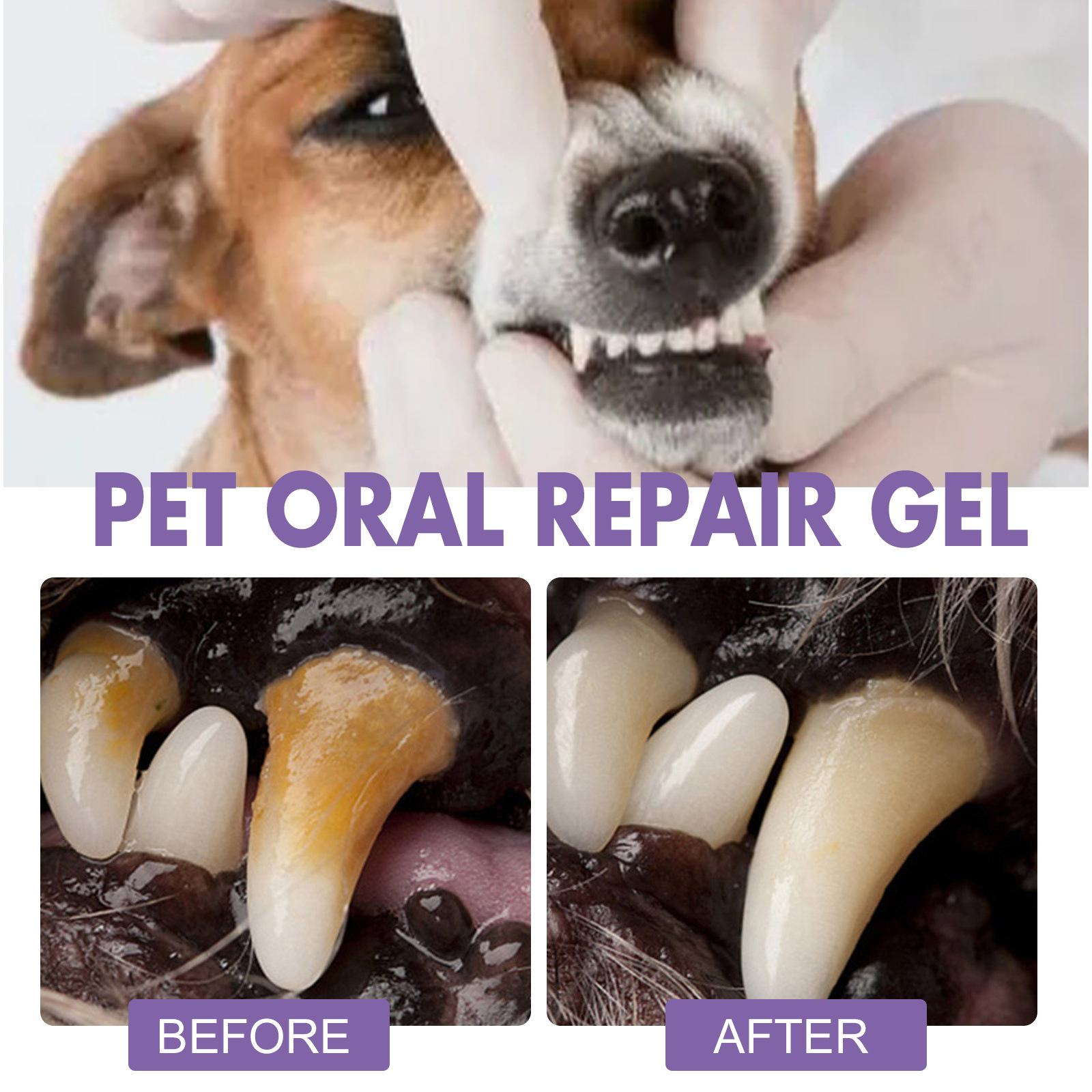 Pet Oral Repair Gel Puppy Tart - огляд і ціна Teeth Whitening Singapore