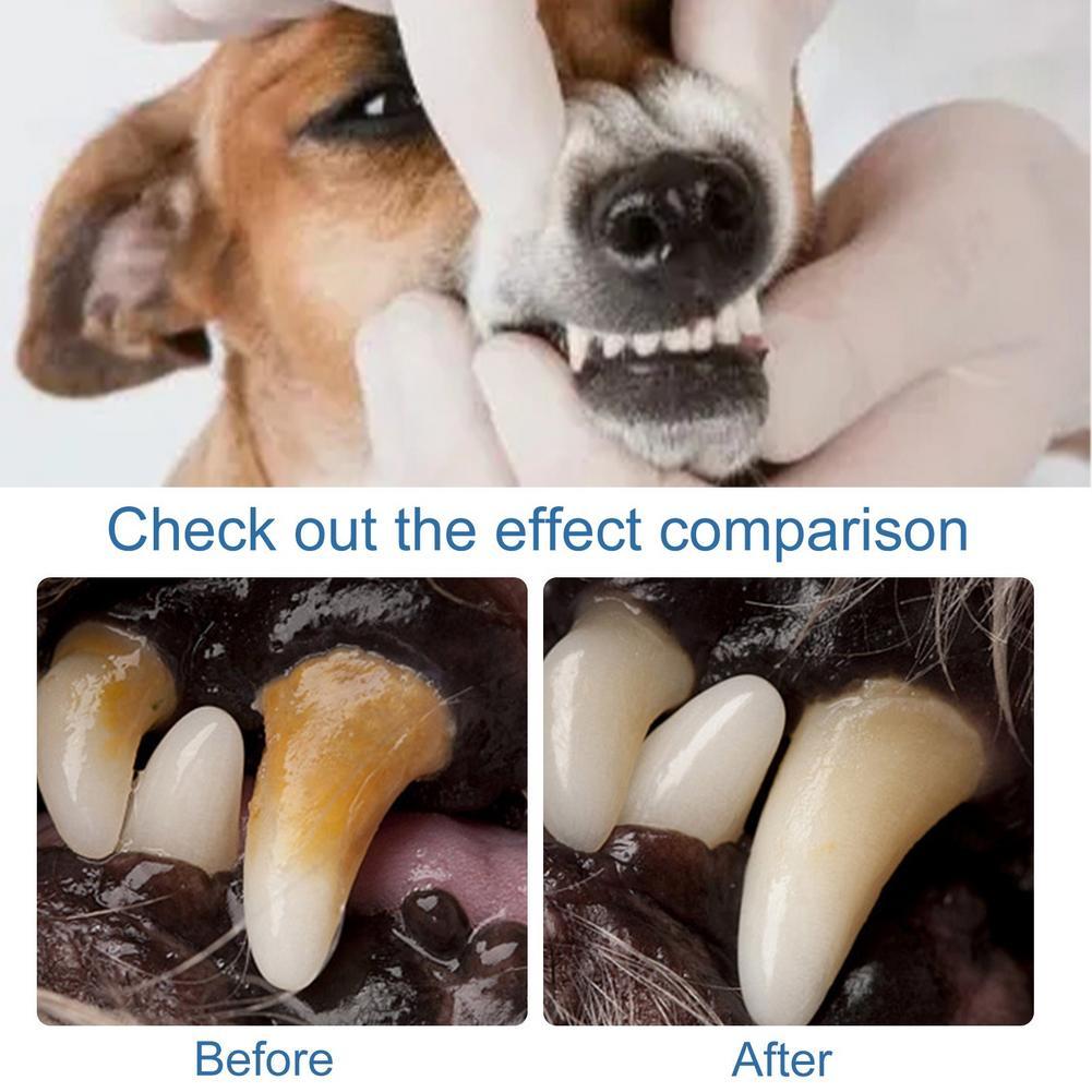 60ml Pet Oral Tartar Remover S - огляд і ціна Teeth Whitening Yellow Teeth