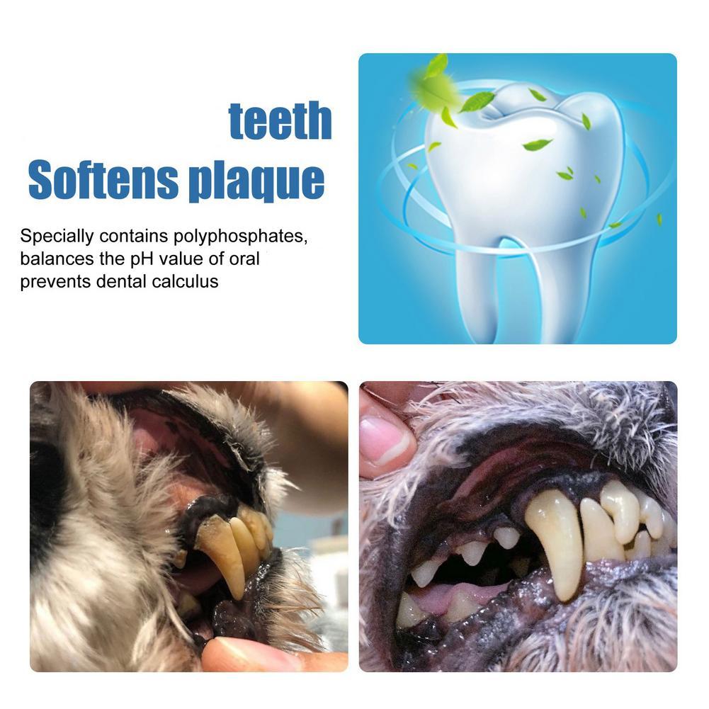 60ml Pet Oral Tartar Remover S - огляд і ціна Teeth Whitening Yellow Teeth